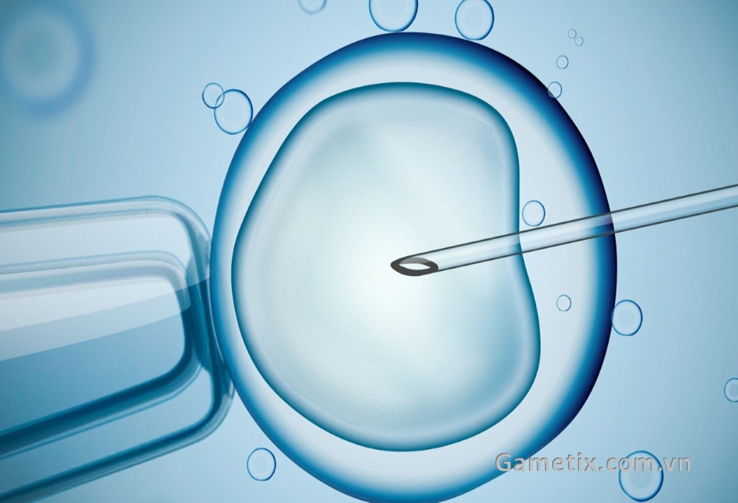 Thụ tinh trong ống nghiệm IVF