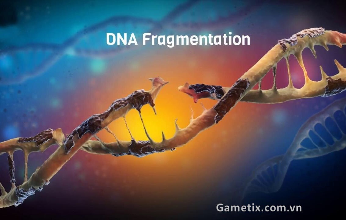 phân mảnh DNA tinh trùng