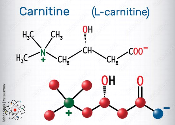 L-Cartinin Gametix-M