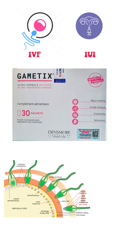 Gametix F hỗ trợ sinh sản